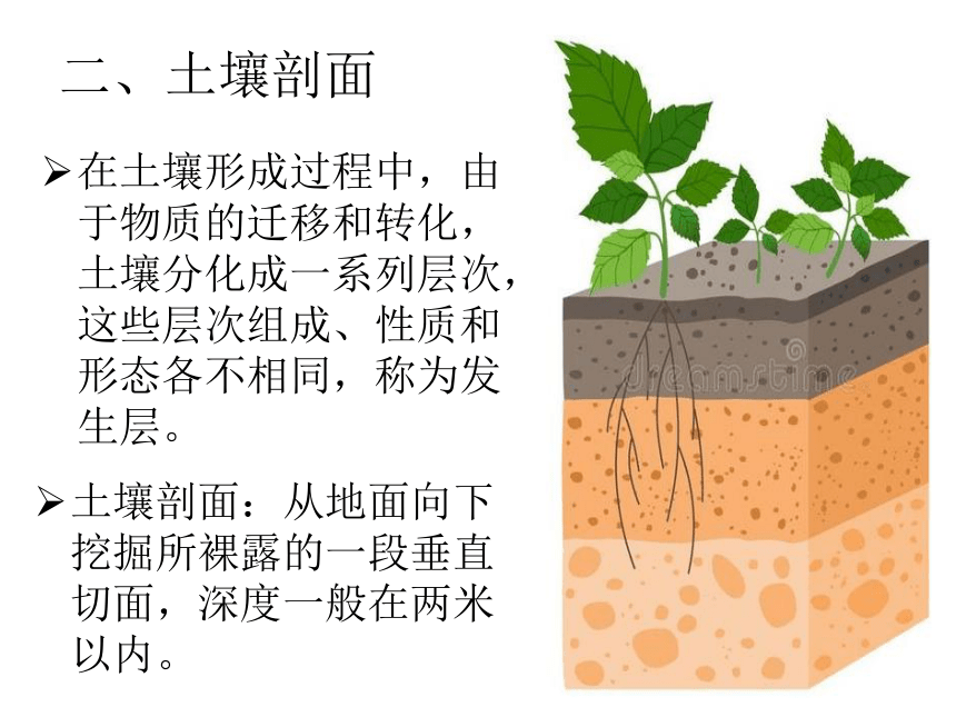 26土壤的主要形成因素课件34张