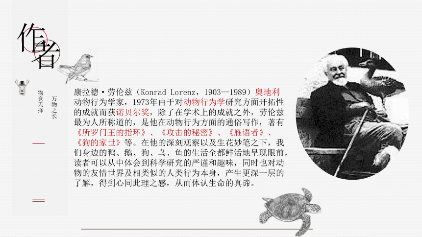 作者康拉德·劳伦兹(konrad lorenz,1903—1989)奥地利动物行为学家