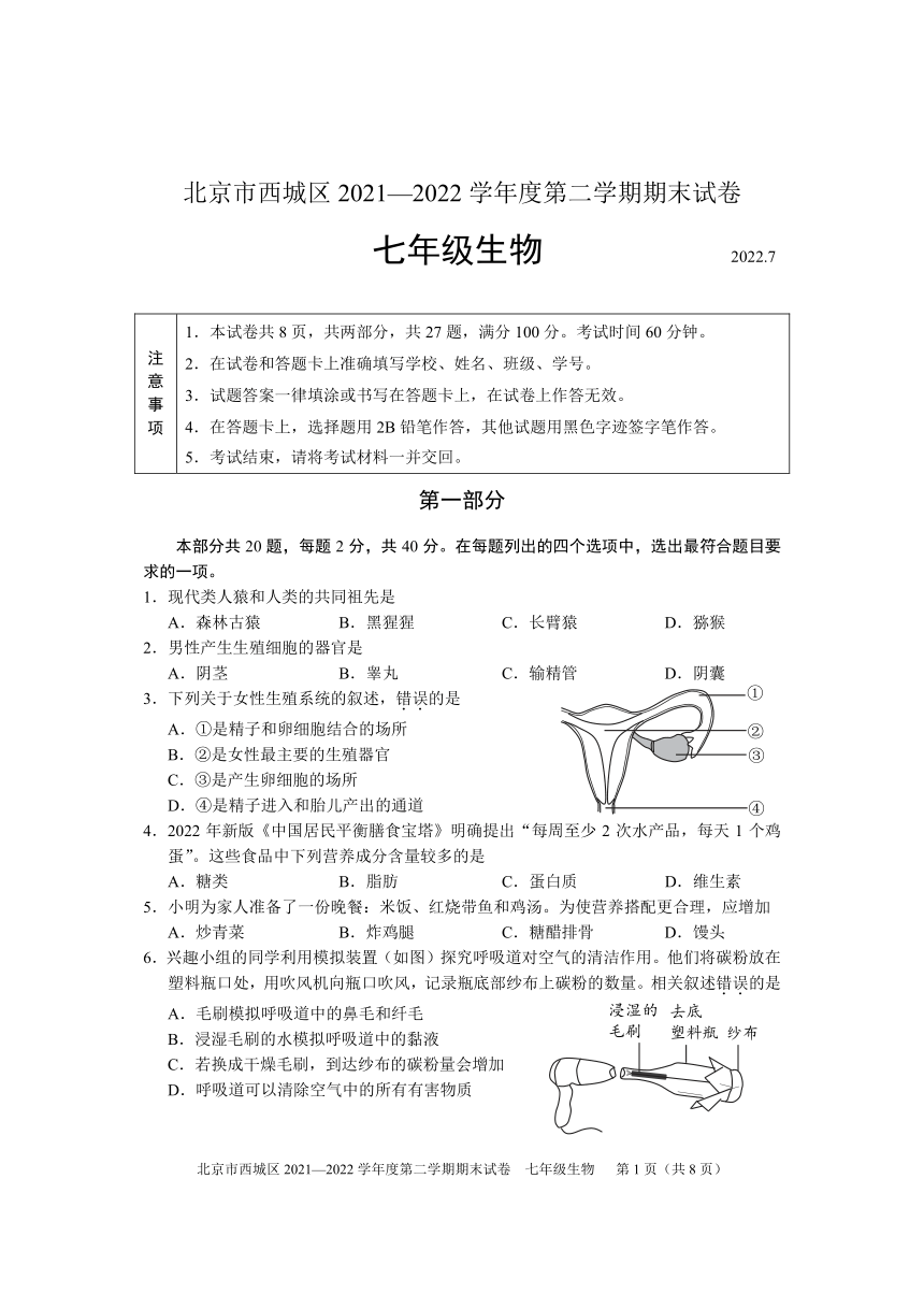 2021 2022年北京市西城区七年级下生物期末考试试卷PDF版无答案 21世纪教育网