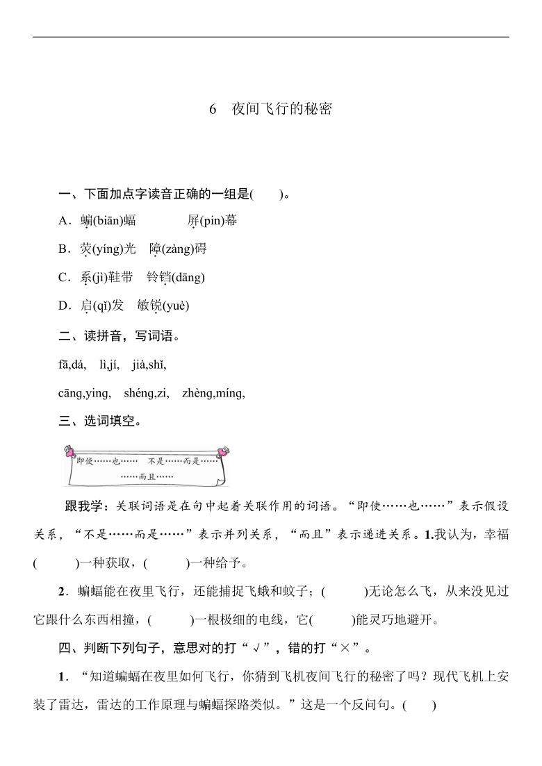 6 夜间飞行的秘密 同步练习(word版 含答案)