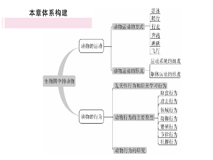 1516动物的运动动物的行为小结与复习课件25张ppt