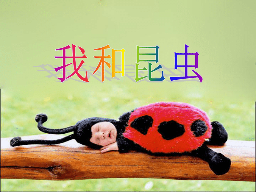 一年级上册美术课件第11课昆虫的一家我和昆虫▏人美版北京31张ppt