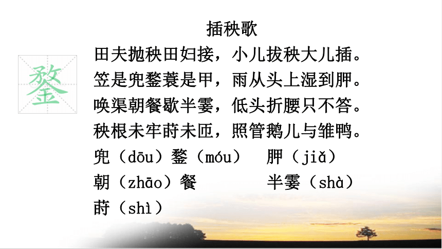 20212022学年高中语文统编版必修上册第二单元62插秧歌课件16张ppt