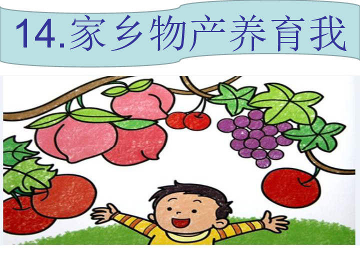 14.家乡物产养育我——贵州 课件(27张幻灯片)