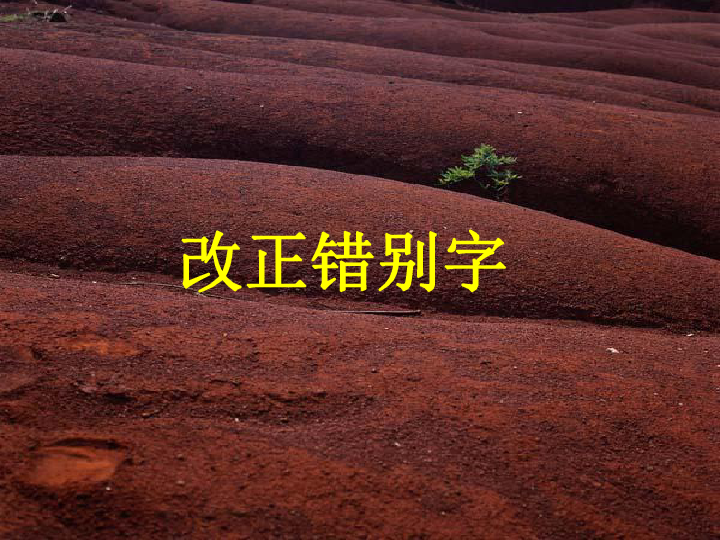 改正错别字下学期