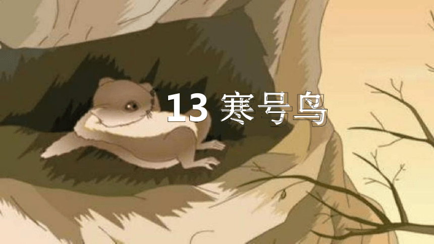 13寒号鸟教学课件16张