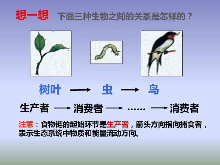 第二节食物链和食物网课件21张ppt