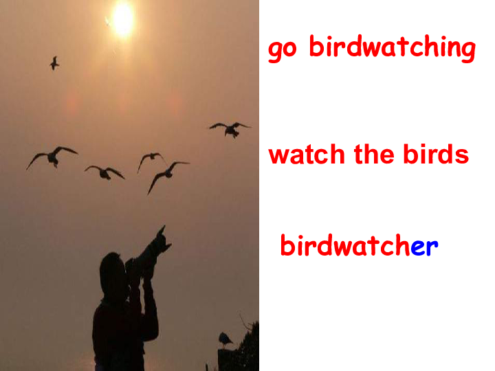 strips &welcome to the unitbirdwatchergo birdwatchingwatch the