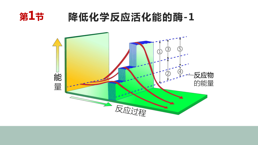 新教材人教版2019高中生物必修一51降低化学反应活化能的酶1课件34张