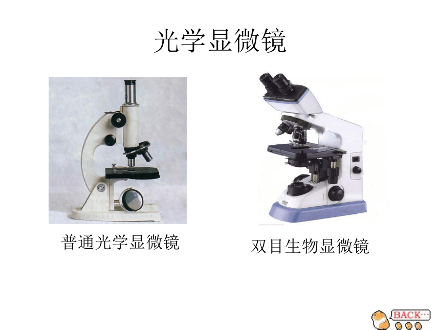 单目显微镜电脑显微镜光学显微镜普通光学显微镜双目生物显微镜 认识