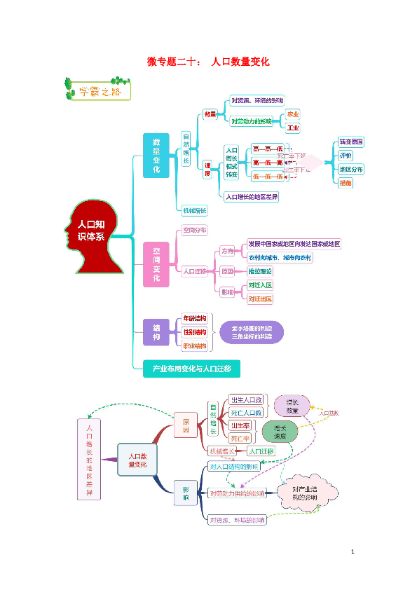 2019高考地理第一轮复习专题6微专题二十人口数量变化思维导图学案