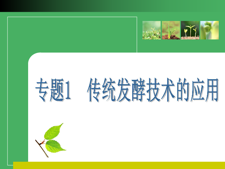 2011高考生物一轮复习精美课件:选修1专题1 传统发酵技术的应用