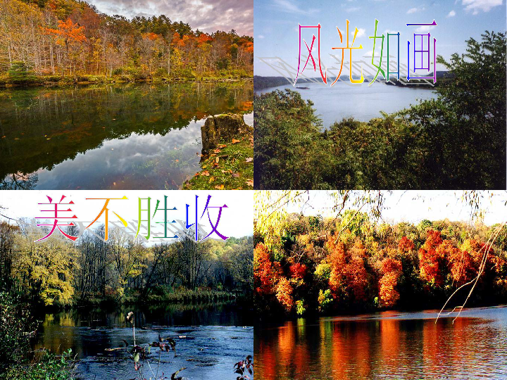 10,密西西比河风光 课件(50张ppt)