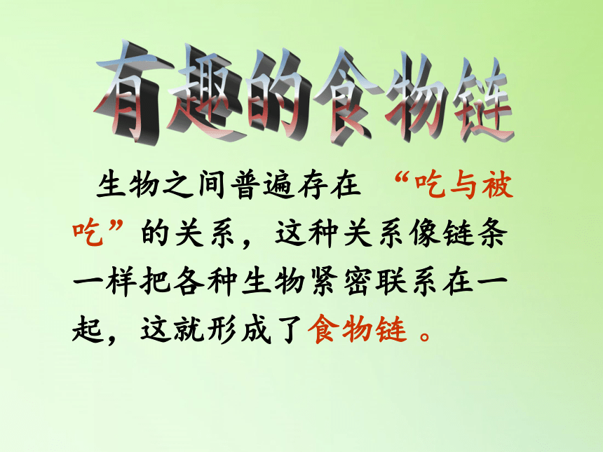 苏教版六年级科学下册教学课件4.3 有趣的食物链(共16张ppt)