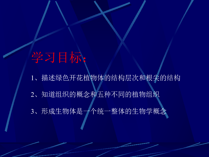 生物体 绿色开花植物体的结构层次13ppt 课件北京市大兴区魏善庄