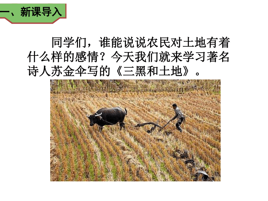 20 《三黑和土地》课件(35张ppt)