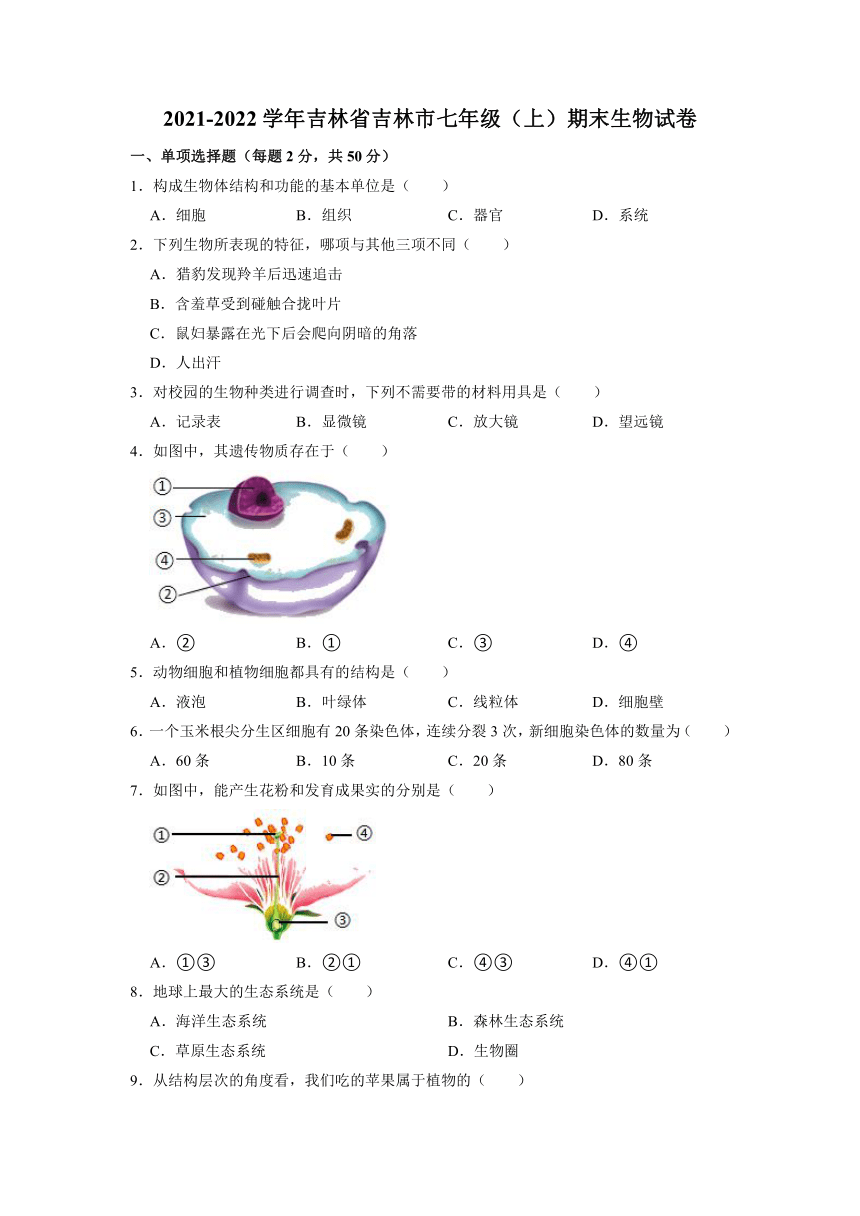 吉林省吉林市20212022学年上学期七年级期末生物试卷word版含答案