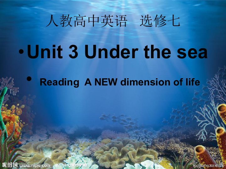 人教高中英语选修七unit3undertheseareadinganewdimensionoflife课件