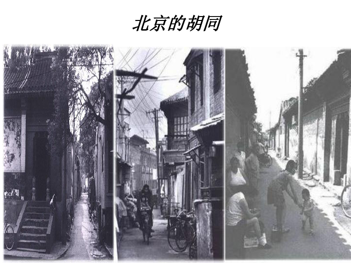 胡同文化上学期