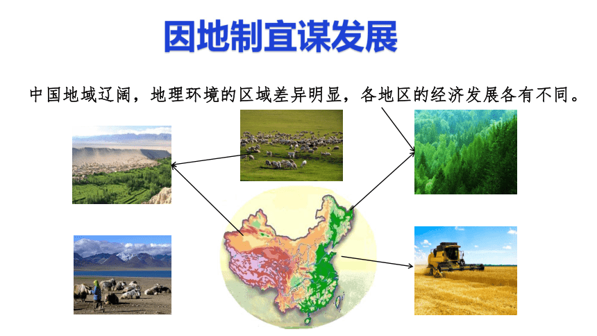 842因地制宜谋发展课件23张ppt