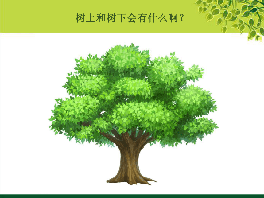 苏少版二年级下册美术9树上树下一课件13张ppt