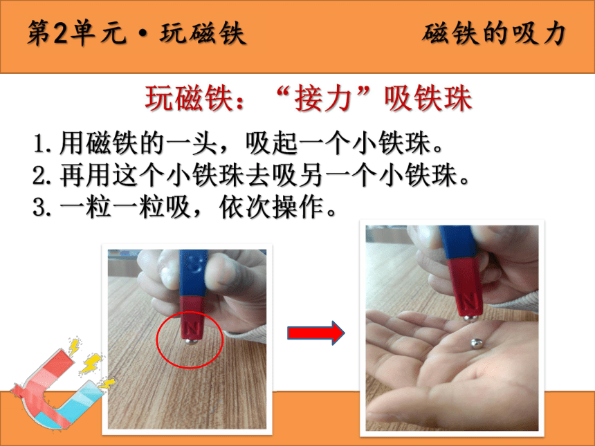 苏教版2017秋二年级下册科学课件24磁铁的吸力课件共12张ppt