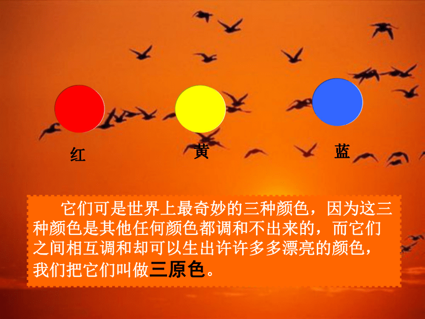 橙色的画 课件(24张ppt)