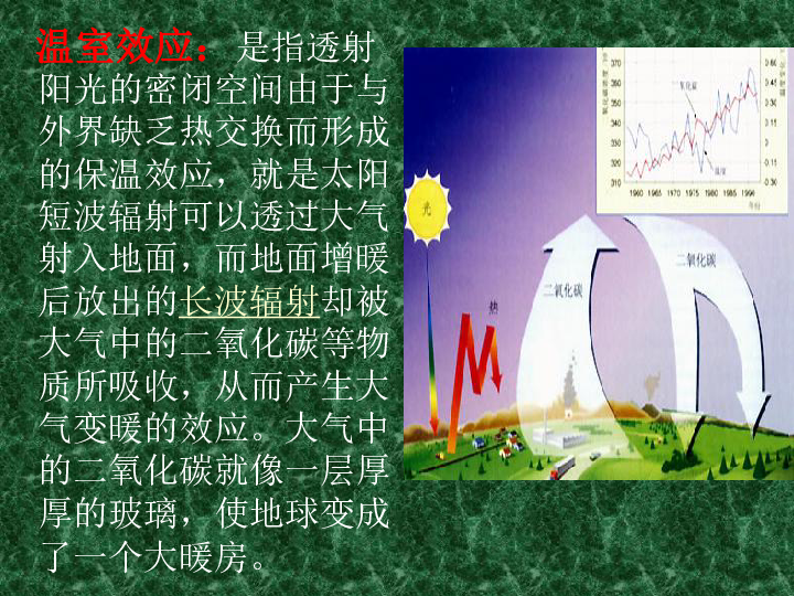 人教版七年级下册生物科学技术社会温室效应增强和全球气候变暖课件共