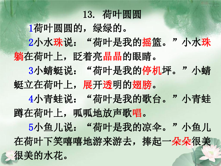 人教部编版一年级下册2016部编课文四13荷叶圆圆课件28张ppt