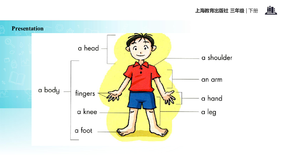 module4unit1mybody课件