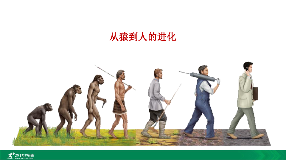 从猿到人的进化课件学习目标1,概述从猿到人进化过程中人类在形态
