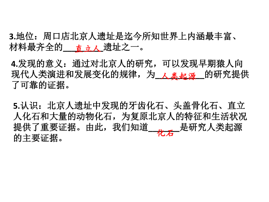 历史一轮总复习史前时期中国境内早期人类与文明的起源课件32张ppt