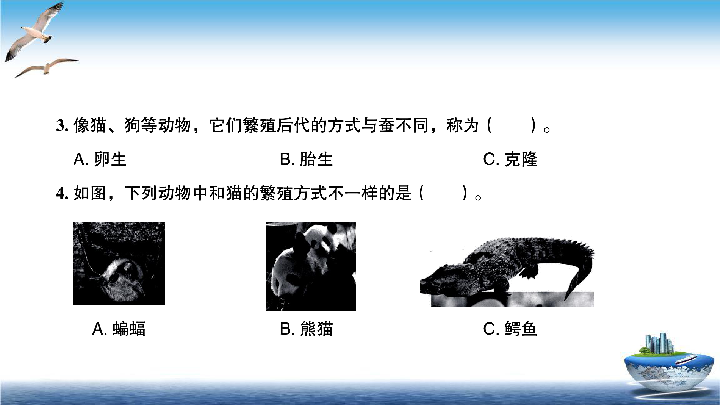 2020新教科版三年级下册科学第7课时动物的繁殖练习题课件8张ppt