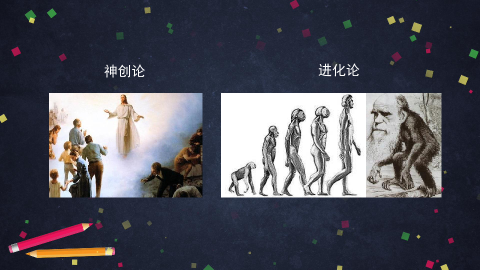 1.1 人类的起源和发展(共36张ppt)