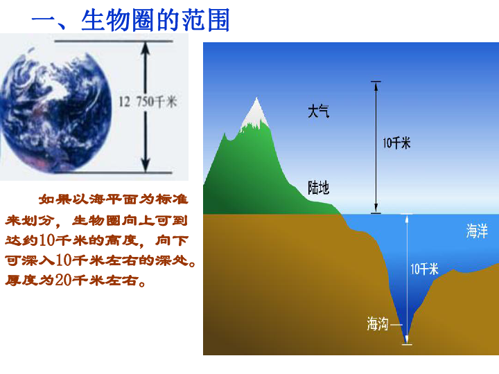 3生物圈是最大的生态系统课件