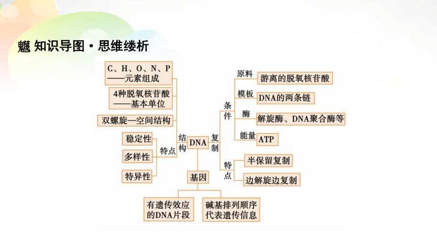 必修2第2单元第2讲dna分子的结构复制课末总结共10张ppt