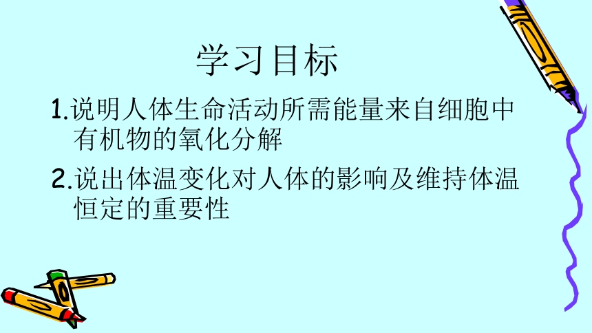 5人体能量的供给 课件(共19张ppt)