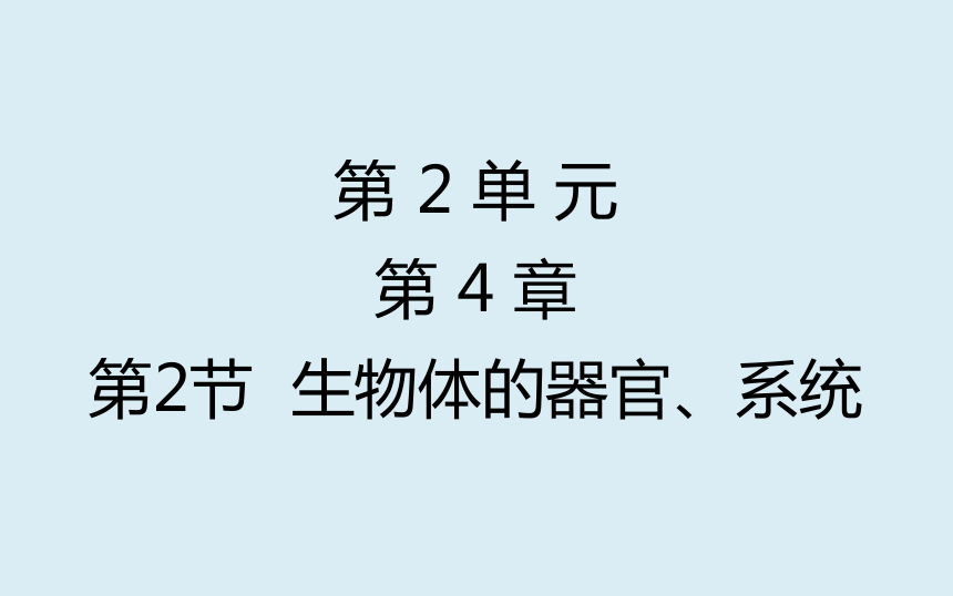 20212022学年北师大版七年级生物上册42生物体的器官系统课件共32张