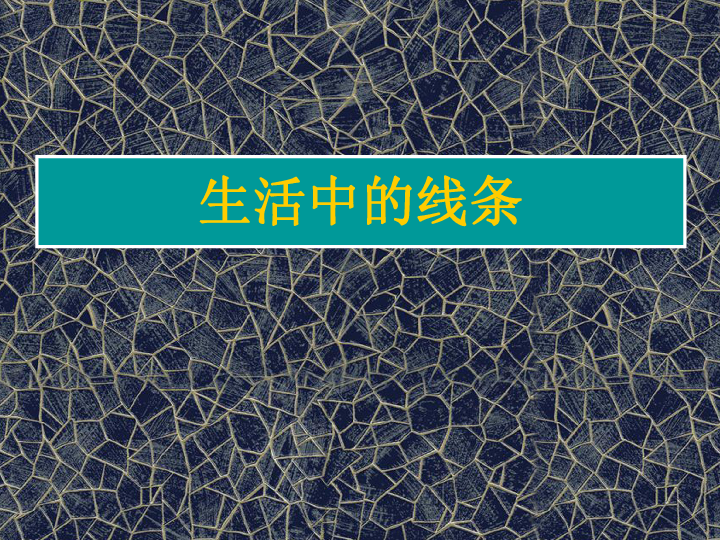 美术四年级上人教版4生活中的线条课件33张