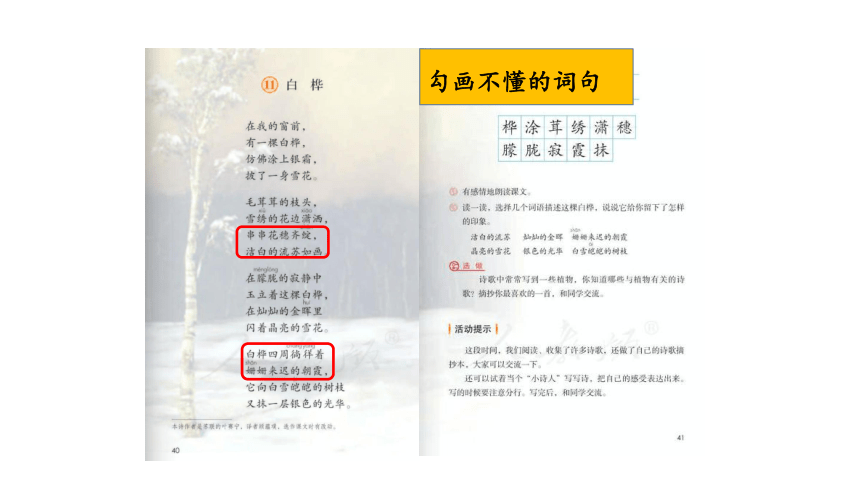 11 白桦        11 白桦第一课时 叶赛宁(1895-1925),苏联田园派诗人