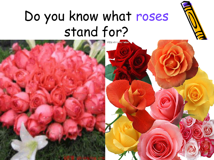 poetry appreciationthree states of lovedo you know what roses