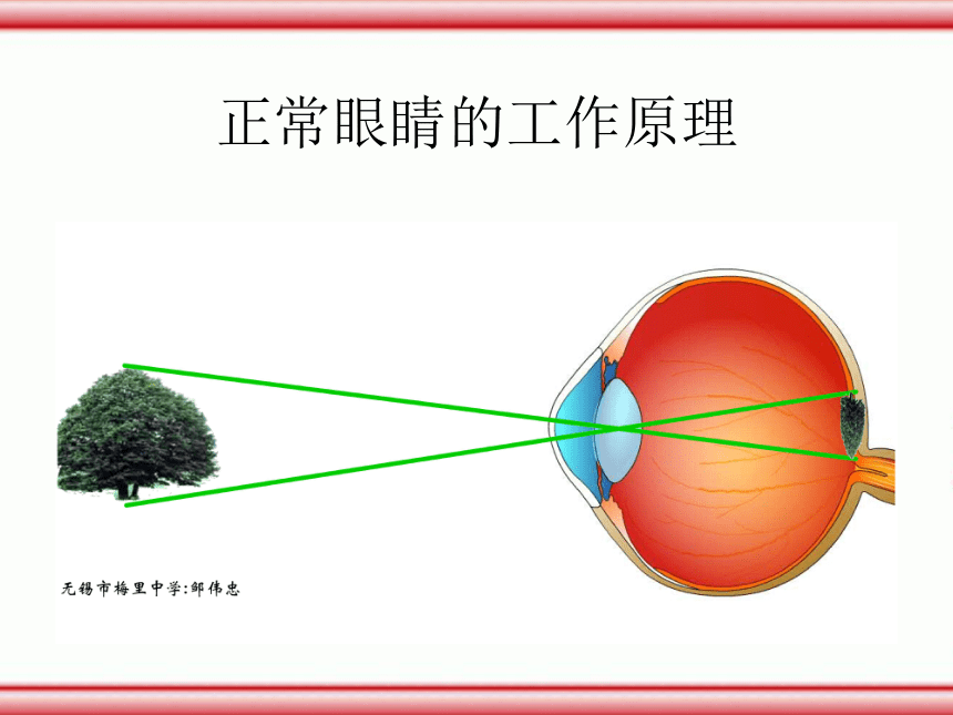 人教版物理八年级上册54眼睛与眼镜共21张ppt