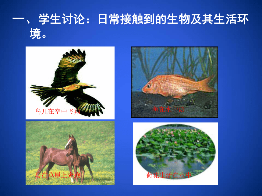 20212022学年北师大版生物七年级上册111形形色色的生物课件共69张ppt