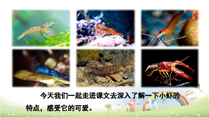 统编版(部编版) 三年级下册 第四单元 15* 小虾 全屏阅读找相关资料