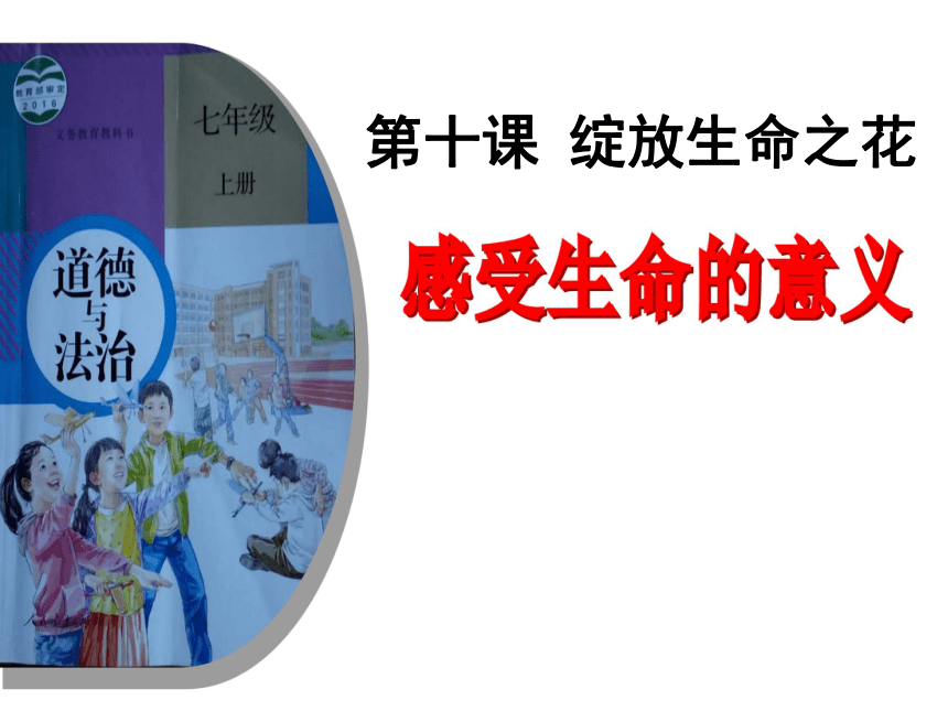 1 感受生命的意义 课件(共27张ppt)