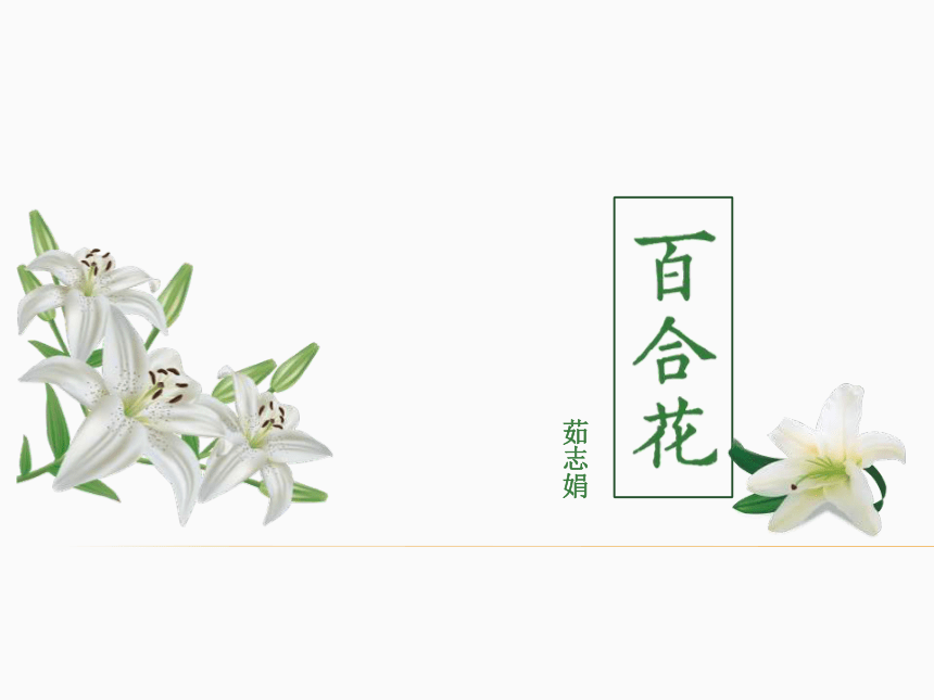 1《百合花》课件(31张ppt)