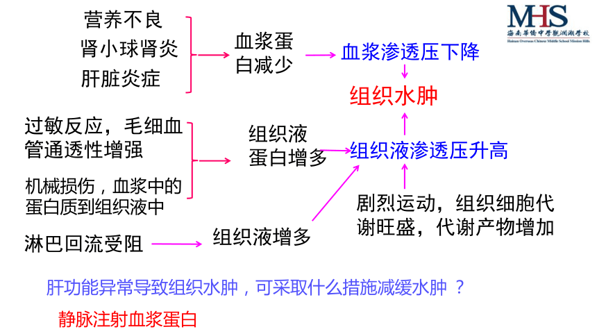 高中生物人教版(2019) 选择性必修1 稳态与调节 第1章 人体的内环境与