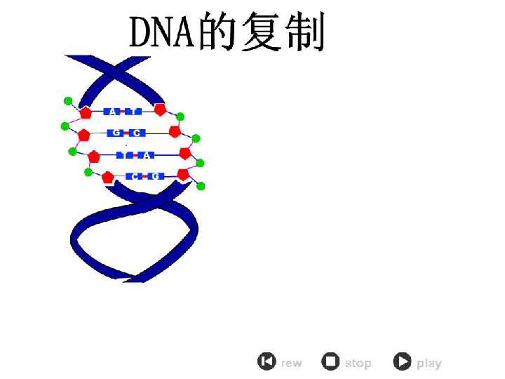 人教版高中生物必修二33dna的复制课件共27张ppt