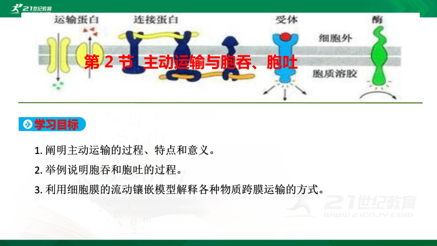 新教材高中生物学修一同步课件42主动运输与胞吞胞吐