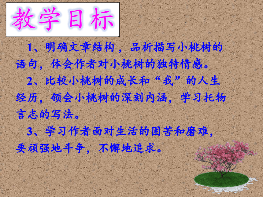 19*一棵小桃树        (共20张ppt)一棵小桃树1,明确文章结构,品析